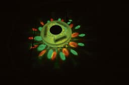 Accessori Piscine e Spa Lampada galleggiante a luce solare multicolore a LED Bestway 5