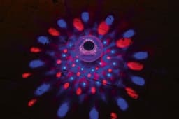 Accessori Piscine e Spa Lampada galleggiante a luce solare multicolore a LED Bestway 7